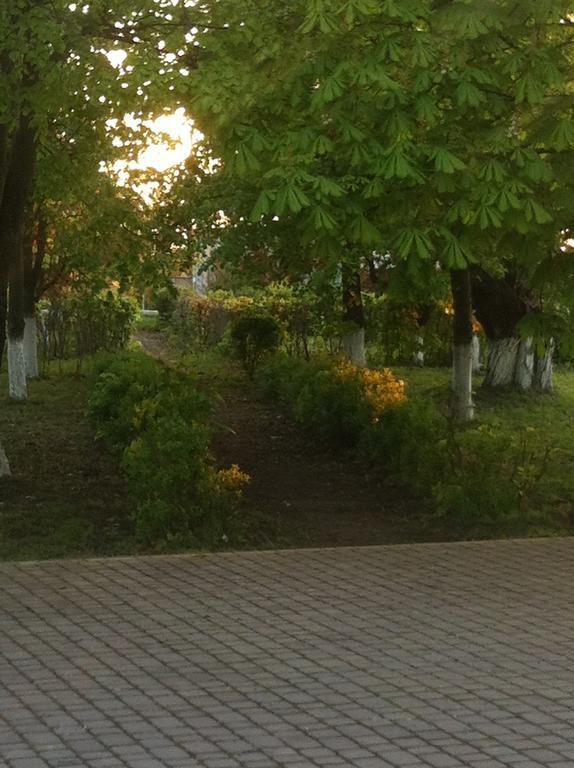 Piroshka Hotel Berehove (Transcarpathia) Exterior foto