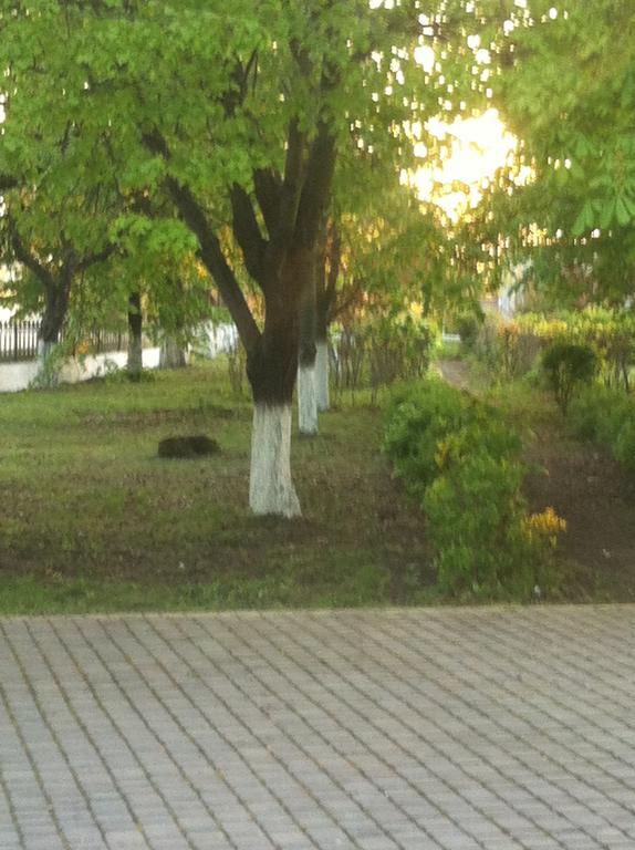 Piroshka Hotel Berehove (Transcarpathia) Exterior foto
